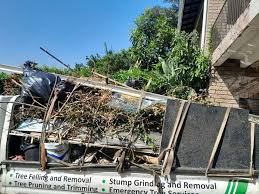 Best Same-Day Junk Removal Services  in Hooverson Heights, WV